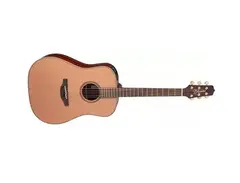 Takamine FN15-AR