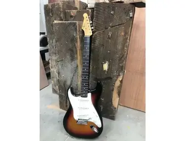 RS Guitarworks Twisted Series Guitar