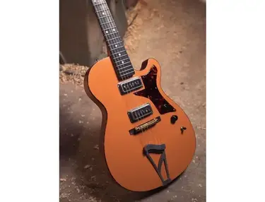Bunting Willow Guitar