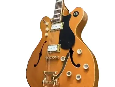 Tim Bernardes's Custom Modified Regvlvs Raphael Guitar