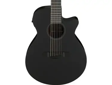 Ibanez AEG721 7-string Acoustic-electric Guitar
