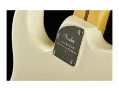 Fender AM Pro II Strat main image