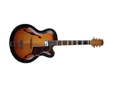 Roger Guitars Cutaway Junior