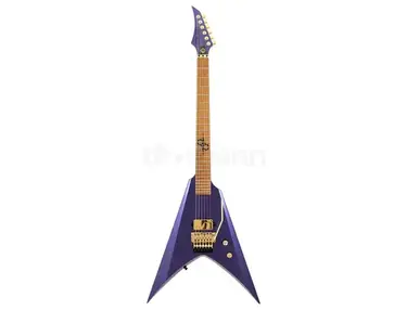 Solar Guitars V1.6 Wolfmaster