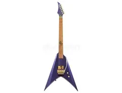 Solar Guitars V1.6 Wolfmaster main image