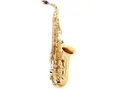 Yamaha YAS-875EXII Custom Professional Alto Saxophone main image