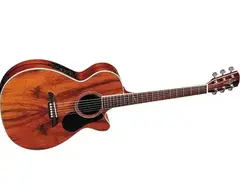 Alvarez AF60CK Artist Series Dao Folk Acoustic-Electric Cutaway