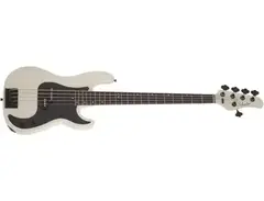 Schecter Guitar Research P-5 Ivy 5-String Bass main image