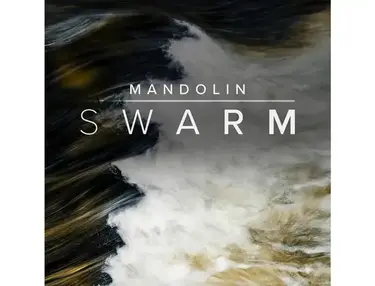 Spitfire Audio Mandolin Swarm Library