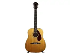 Fender F-1060