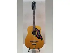 Kent Bonanza 12-String main image