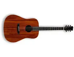 Enya Guitars ED-X1+ Electric-Acoustic Guitar main image