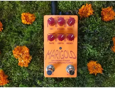 Lantern Manufacturing Marigold Daydream Phaser