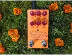 Lantern Manufacturing Marigold Daydream Phaser main image