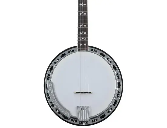 Gold Tone BG-150F Bluegrass Resonator Banjo - Vintage Brown High Gloss
