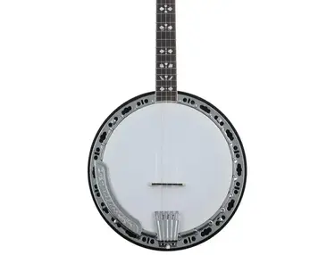 Gold Tone BG-150F Bluegrass Resonator Banjo - Vintage Brown High Gloss
