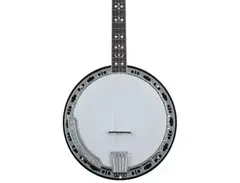 Gold Tone BG-150F Bluegrass Resonator Banjo - Vintage Brown High Gloss