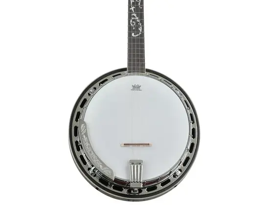 Ibanez B200 5-string Resonator Banjo
