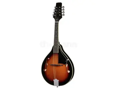 Epiphone Mandobird-VIII 8-String Electric Mandolin - What To Know