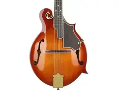 Best 7 Mandolins of 2025: Top Picks for All Skill Levels | Equipboard