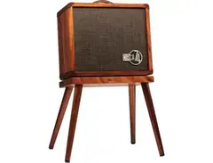 Taylor Circa 74 150-watt Acoustic Guitar and Vocal Amplifier