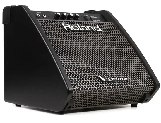 Roland PM-100 80-watt 1x10 inch Personal Drum Monitor