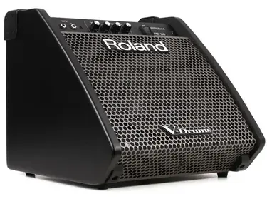 Roland PM-100 80-watt 1x10 inch Personal Drum Monitor