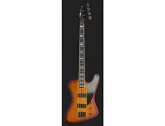 ESP LTD Phoenix-1004