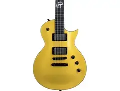ESP LTD EC-2025 Electric Guitar
