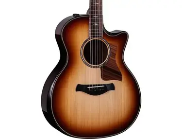 Taylor Builder's Edition 814ce Adirondack Spruce Acoustic Guitar