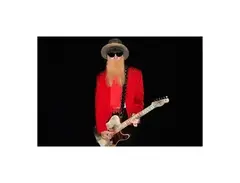 Bolin Broadcaster for Billy Gibbons main image