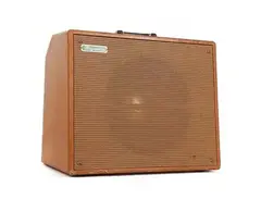 Magnatone Troubadour Model 112 18-Watt 1x12" Guitar Combo main image