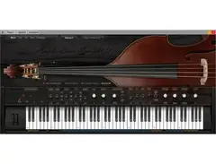 Ample Sound Ample Bass Upright III main image