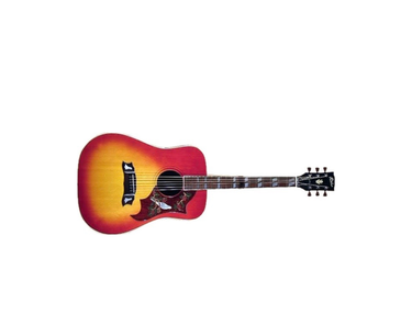 Rider Guitars J-300D