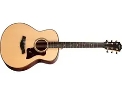 Taylor GT Urban Ash main image