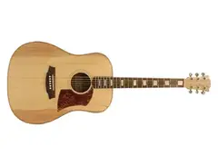 Cole Clark FL2 Acoustic Guitar