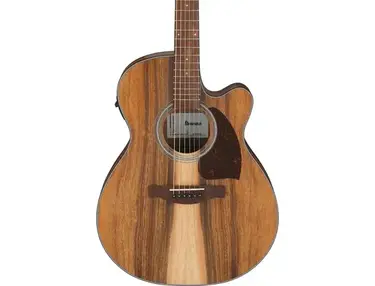 Ibanez PC50WSCE Acoustic-electric Guitar - Open-pore Natural