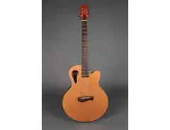 Tacoma Olympia by Tacoma OMC-1CE