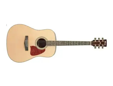 Ibanez AW40NT