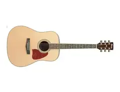 Ibanez AW40NT main image