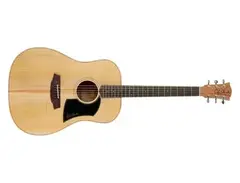 Cole Clark FL1 Acoustic Guitar