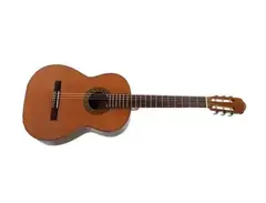 Raimundo Guitars mod 123 main image