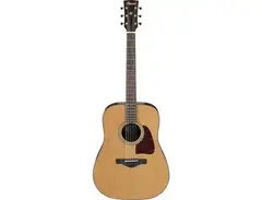 Ibanez AVD9 Artwood Thermo-Aged Dreadnought main image