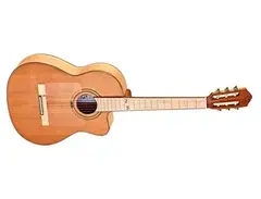 Ortega RCE179SN-25TH main image