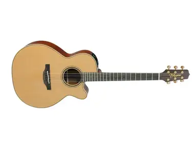 Takamine P3NC Pro Series w/Softcase