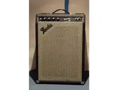 Fender Bassman 20