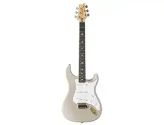 PRS Silver Sky John Mayer Signature "Dead Spec" main image