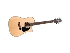 Takamine EG530SC Acoustic Guitar