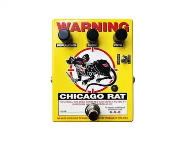 Daredevil Chicago Rat