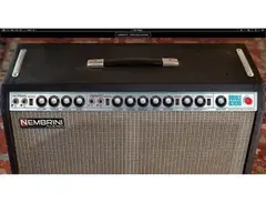 Nembrini Audio Double Reverb Guitar Amplifier main image